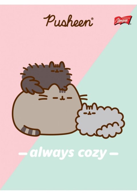 Zeszyt szkolny A5 32 kartki w 3 linie kolorową laminowany PUSHEEN ST.MAJEWSKI Zeszyt szkolny A5 32 kartki w 3 linie kolorową laminowany PUSHEEN ST.MAJEWSKI