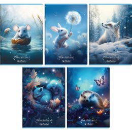 Zeszyt A5 32k 3linia kolorowa WONDERLAND 400196831 HERLITZ