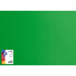 Blok karton kolorowy CREATINIO A1 160g 25 arkuszy nr.68 zielony 400149559 TOP 2000