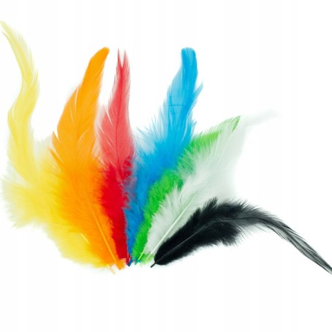 Piórka 8-12 cm, mix kol. (40 szt.) P-3318 ALIGA Piórka 8-12 cm, mix kol. (40 szt.) P-3318 ALIGA