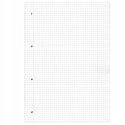 Notatnik Flex A4 80 kartek w kratkę i linie Notes Ladylike Jungle 50044320 HERLITZ