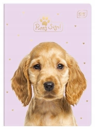 Zeszyt A5 16k UV PUPPY SIGN INTERDRUK Zeszyt A5 16k UV PUPPY SIGN INTERDRUK