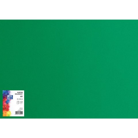 Blok karton kolorowy CREATINIO A1 160g 25 arkuszy nr.63 zielony 400149561 TOP 2000 Blok karton kolorowy CREATINIO A1 160g 25 arkuszy nr.63 zielony 400149561 TOP 2000