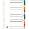 Przekładki kartonowe A4+ MYLAR 1-12 kolor 100204983 OXFORD