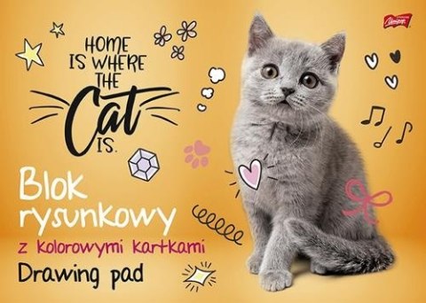 Blok rysunkowy szkolny A3 kolorowy 16 kartek 80g UNIPAP Blok rysunkowy szkolny A3 kolorowy 16 kartek 80g UNIPAP